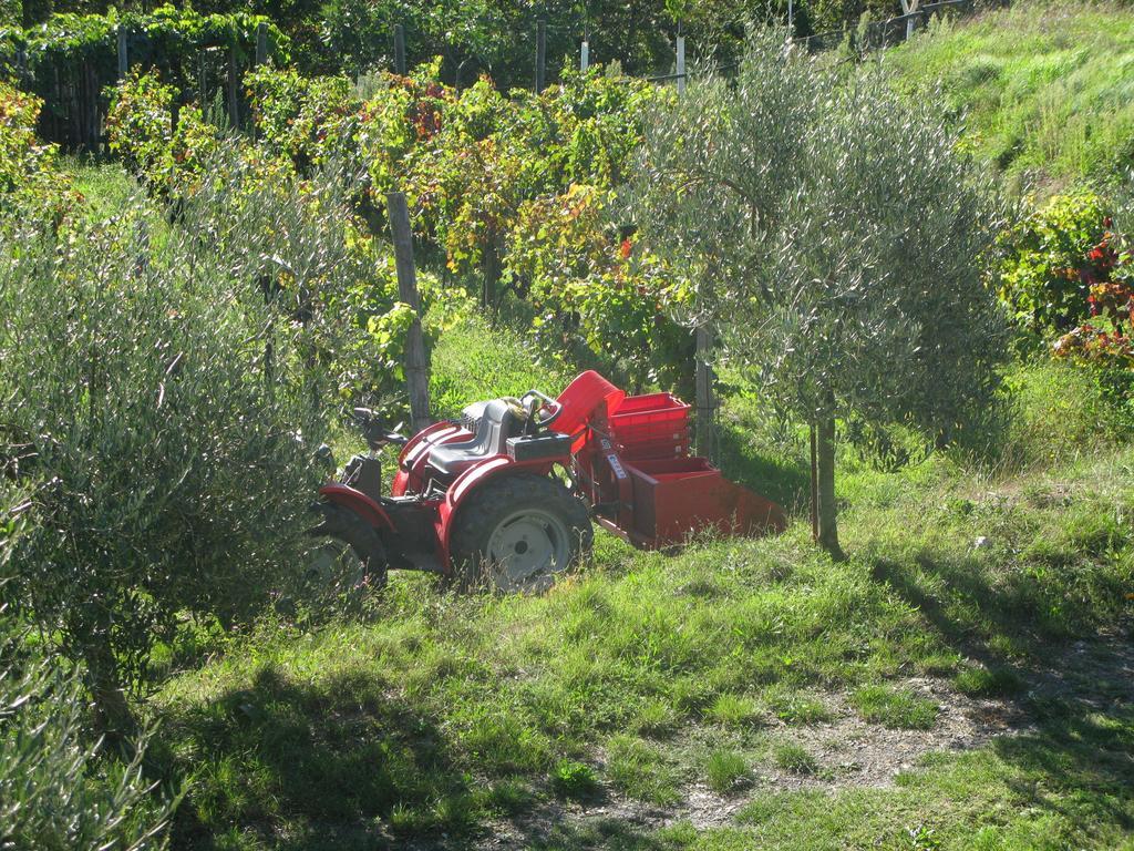 Vakantieboerderij Sostio A Levante Framura