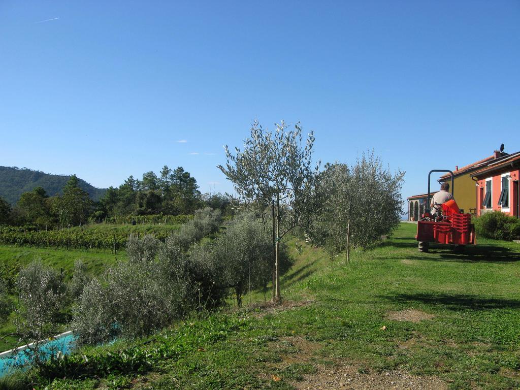 Vakantieboerderij Sostio A Levante